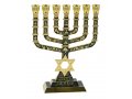 7-Branch Menorah with Star of David & Jerusalem & Judaic Images, Dark Green - 9.5