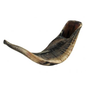 Large Natural Finish Black Rams Horn Shofar 15"-16"