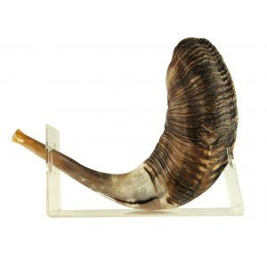 Shofar Stand of Lucite for Large Ram's Horn Shofar Length 18-23 Inches