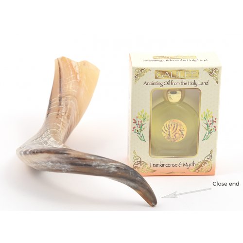 Anointing Ram's Horn Shofar + Galilee Anointing Oil Frankincense and Myrrh