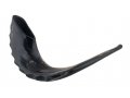 Extra Large Polished Black Rams Horn Shofar - 19