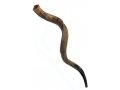 Huge Jumbo Yemenite Shofar Kudu Horn Half Polished Half Natural - 51