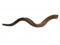 Jumbo Yemenite Natural Shofar - Natural 47