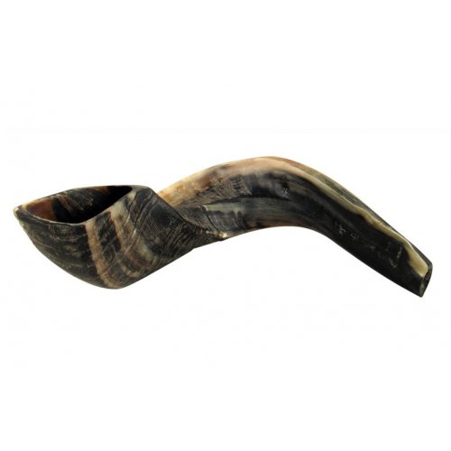 Large Natural Black Rams Horn Shofar 17