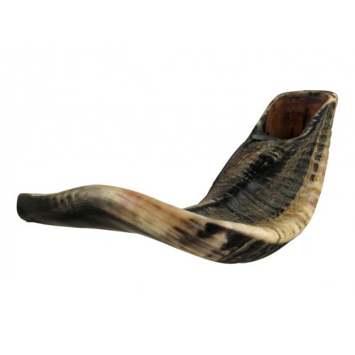 Large Natural Black Rams Horn Shofar 17