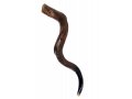 Large Natural Yemenite Shofar Kudu Horn 37