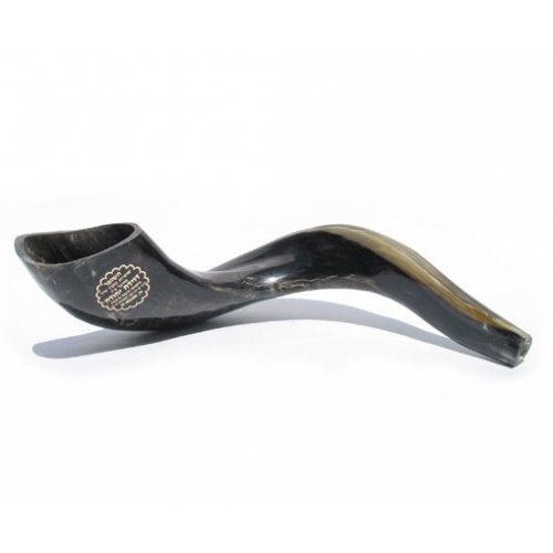 Large Polished Black Rams Horn Shofar 15