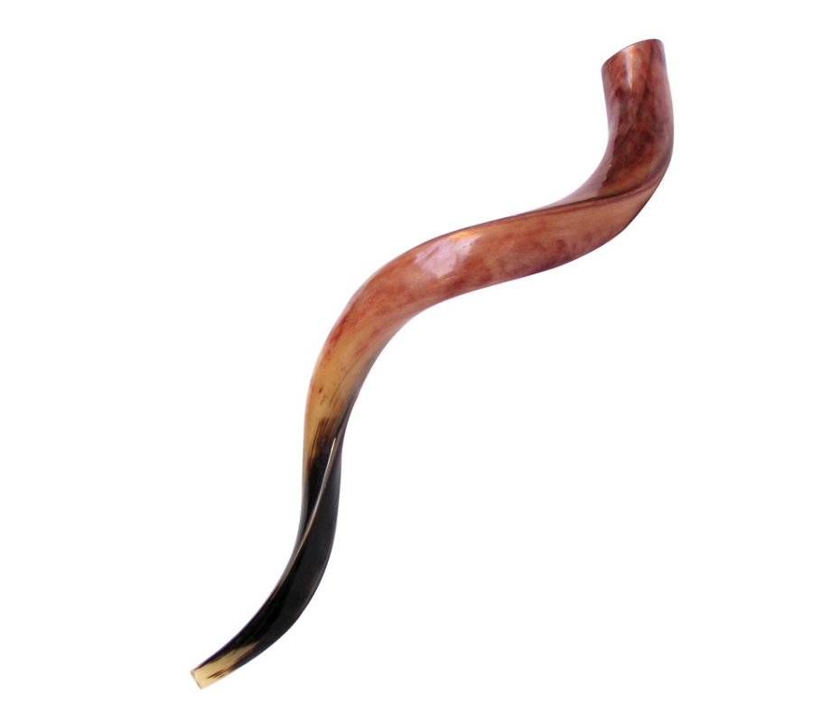 Large Polished Yemenite Shofar Kudu Horn 33