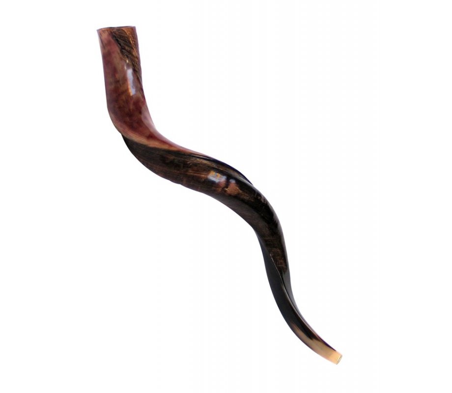 Large Yemenite Shofar Half Polished Half Natural - 34