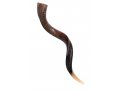 Large Yemenite Shofar Half Polished Half Natural - 37