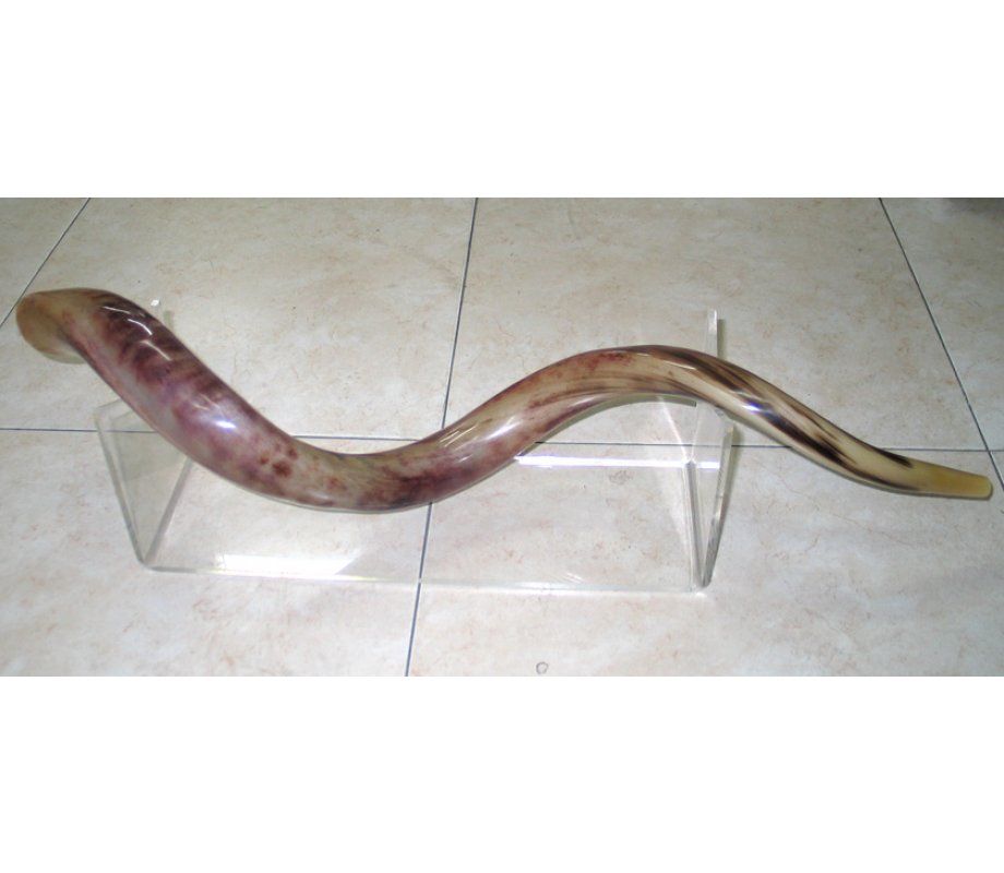 Lucite Extra Large Yemenite Shofar Stand for Horn Lengths 40-52 Inches