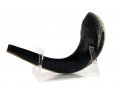 Lucite Ram's Horn Shofar Stand for Medium Length 11-18 Inches Shofar