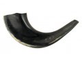 Medium Polished Black Rams Horn Shofar 13