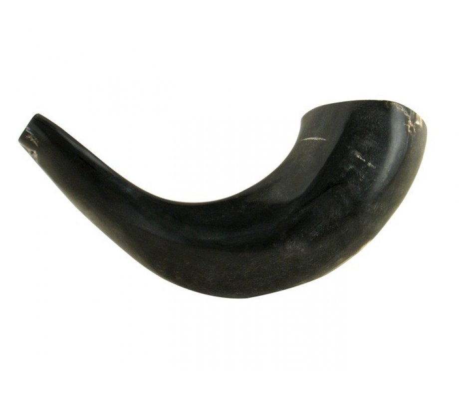 Medium Polished Black Rams Horn Shofar 13