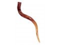 Medium Polished Yemenite Shofar Kudu Horn 29