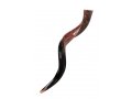 Medium Yemenite Shofar Half Polished Half Natural - Medium 32