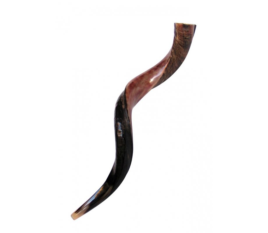 Medium Yemenite Shofar Half Polished Half Natural - Medium 32