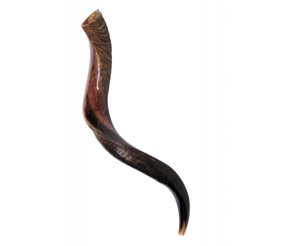 Medium Yemenite Shofar Half Polished Half Natural 29