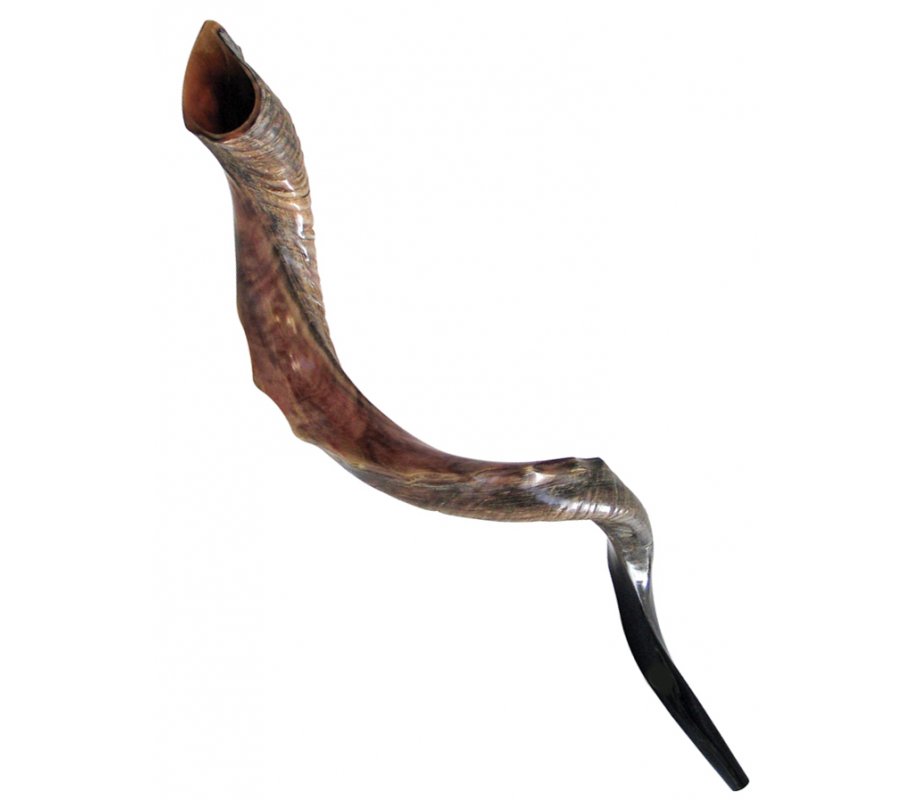 Nostalgia Crown Design Half Natural Half Polished Yemenite Shofar