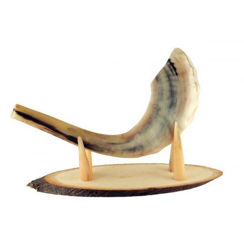 Oval Wood Stand with Kudu Horn Clips - for Ram Shofar Length 11-18 Inches