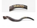 Personalized Shofar - Yemenite Kudu Horn Inscribed with Name