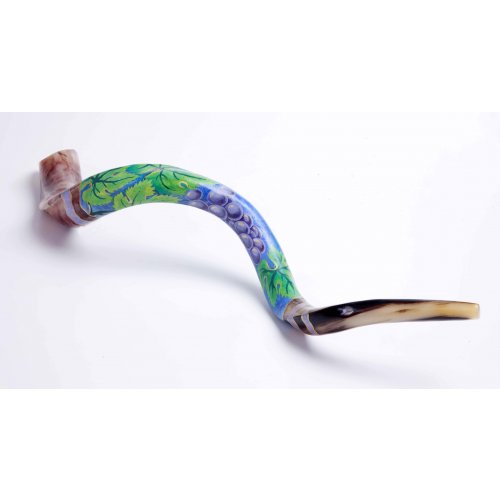 Purple Grapevine Collectors Hand Painted Yemenite Shofar