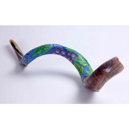 Purple Grapevine Collectors Hand Painted Yemenite Shofar