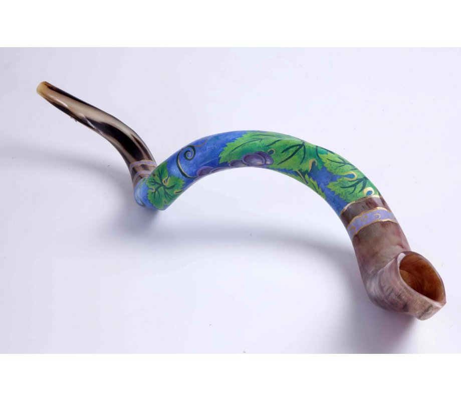 Purple Grapevine Collectors Hand Painted Yemenite Shofar