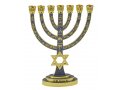 Seven Branch Menorah, Gold with Gray Enamel Judaic Symbols and Star of David - 9.5