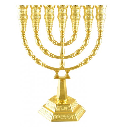 Seven Branch Menorah with Jerusalem Images and Star of David, Gold - 6 or 9.4