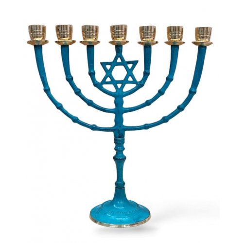 Seven Branch Menorah with Star of David on Upper Stem, Patina - 11 Inches Height