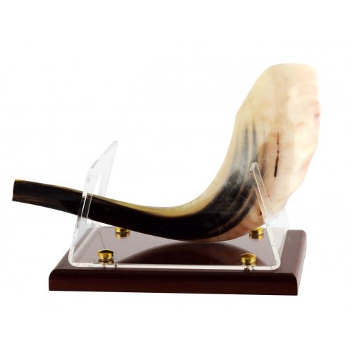 Shofar Stand for Ram's Horn Shofar - Acrylic with Wood Base