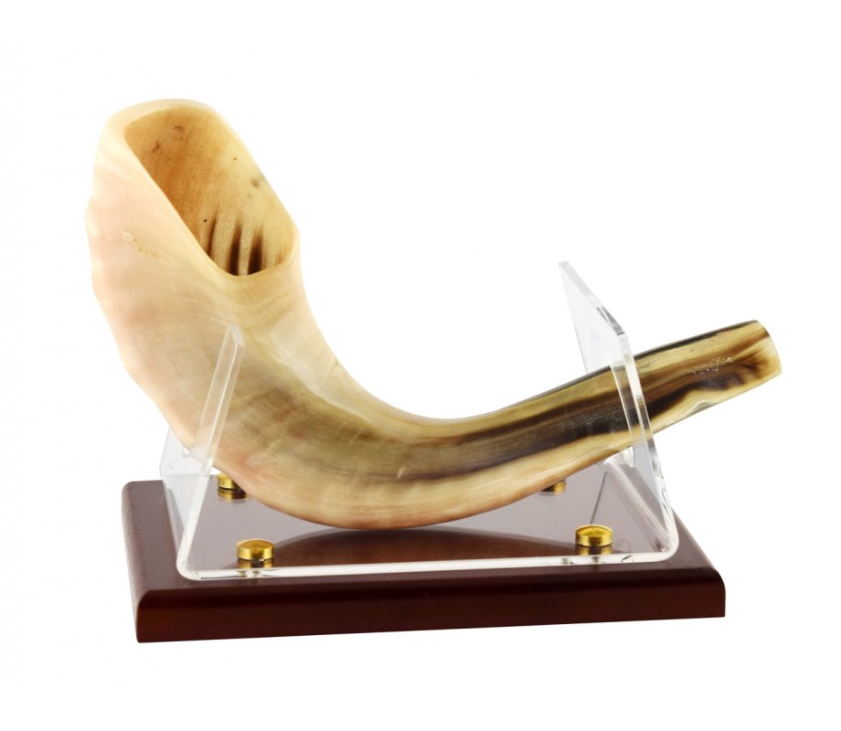 Shofar Stand for Ram's Horn Shofar - Acrylic with Wood Base