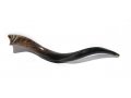 Small Polished Yemenite Shofar Kudu Horn 22