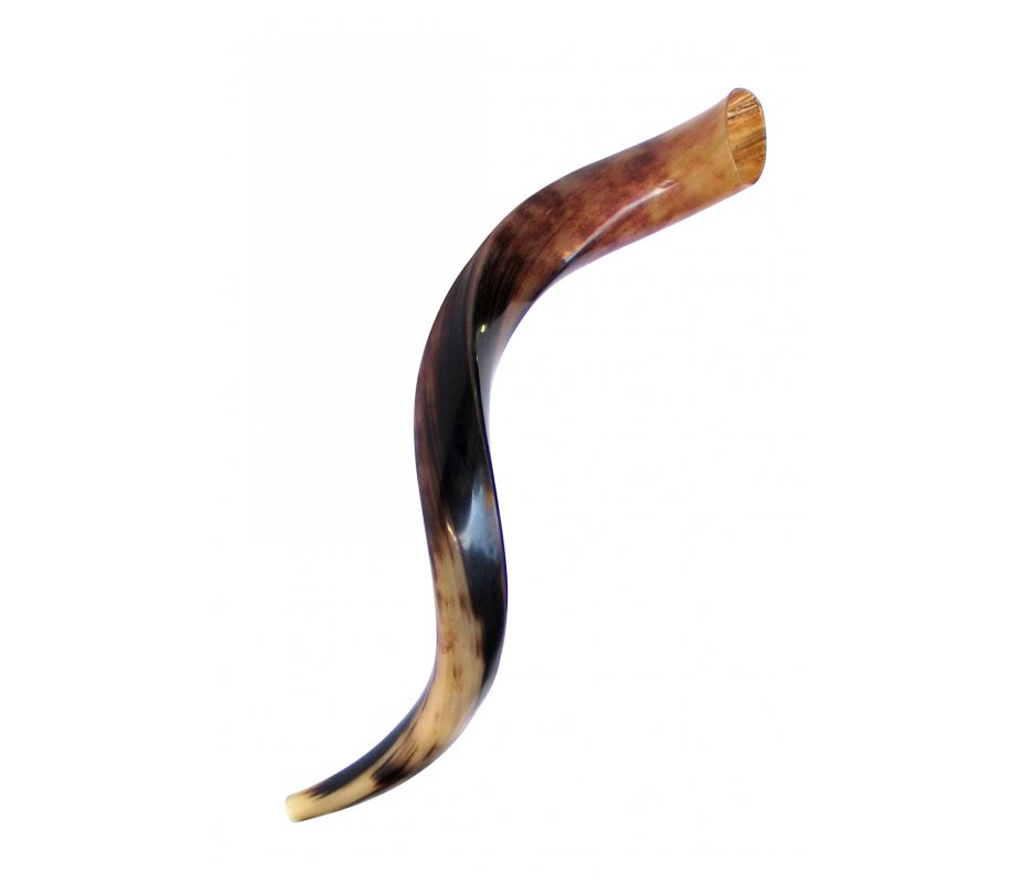 Small Polished Yemenite Shofar Kudu Horn 25