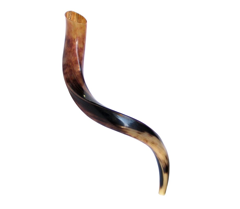 Small Polished Yemenite Shofar Kudu Horn 25
