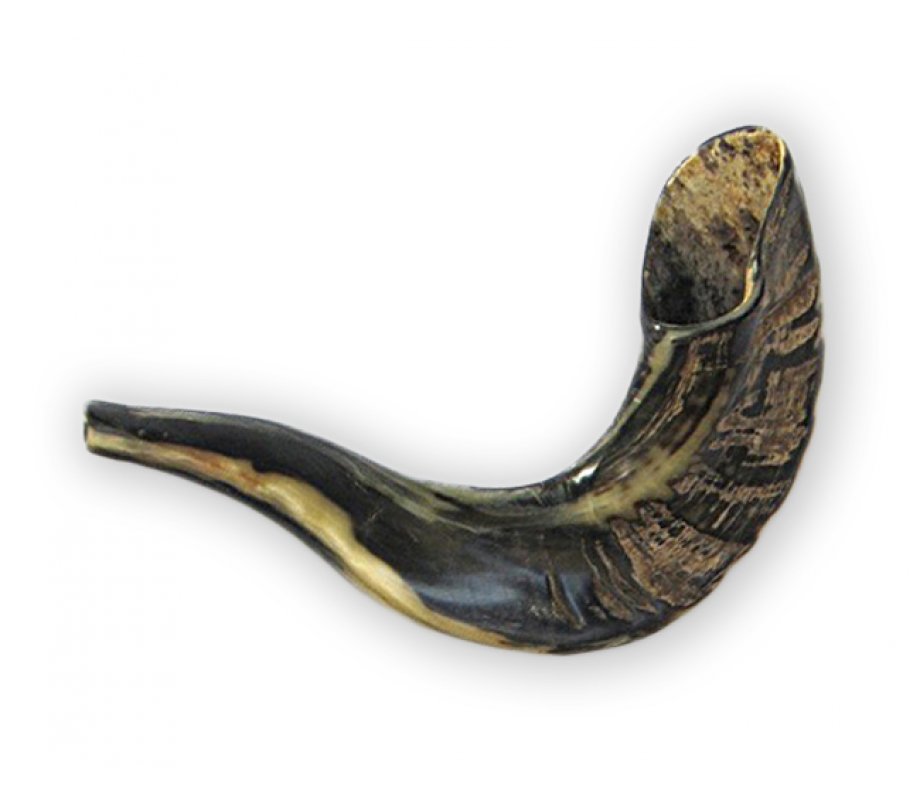 Small Ram's Horn Shofar for Kids with Dark Tones 10