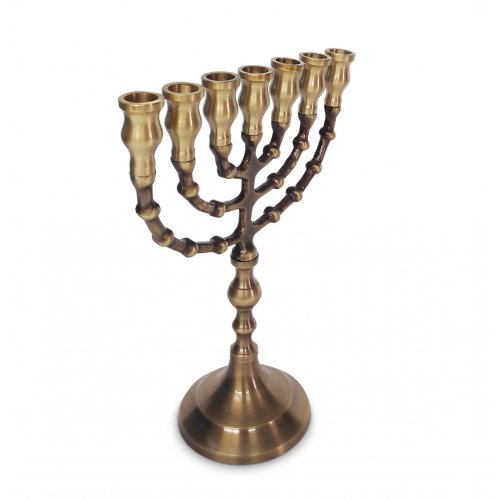 Small Seven Branch Menorah with Antique Look Finish, Dark Gold Brass - 8.5