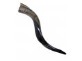 Small Yemenite Shofar Half Polished Half Natural 21