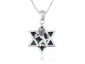 Sterling Silver Necklace and Pendant, Eilat Stone Star of David and Lion Of Judah