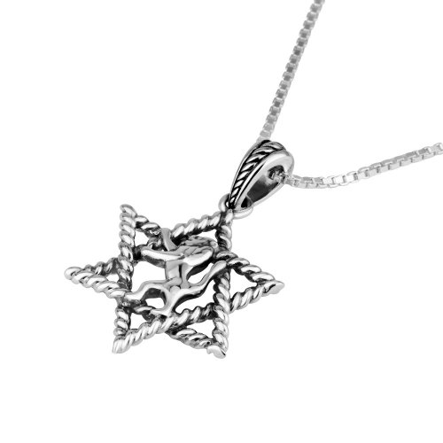 Sterling Silver Necklace with Pendant - Decorative Star of David Encloses a Lion Image