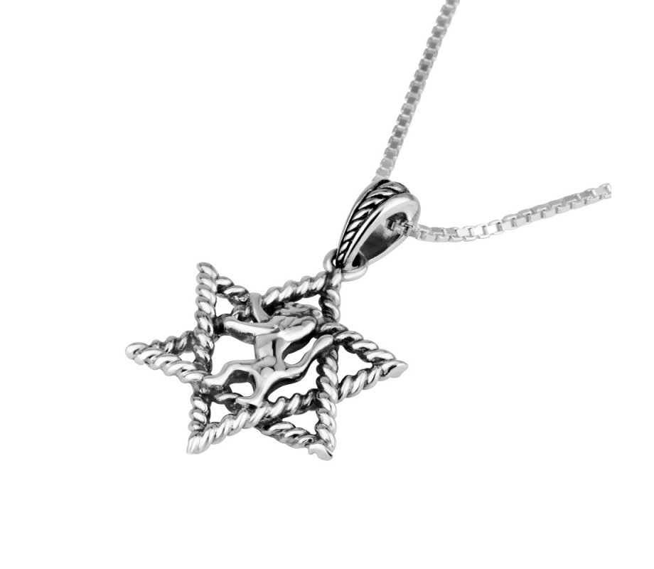 Sterling Silver Necklace with Pendant - Decorative Star of David Encloses a Lion Image