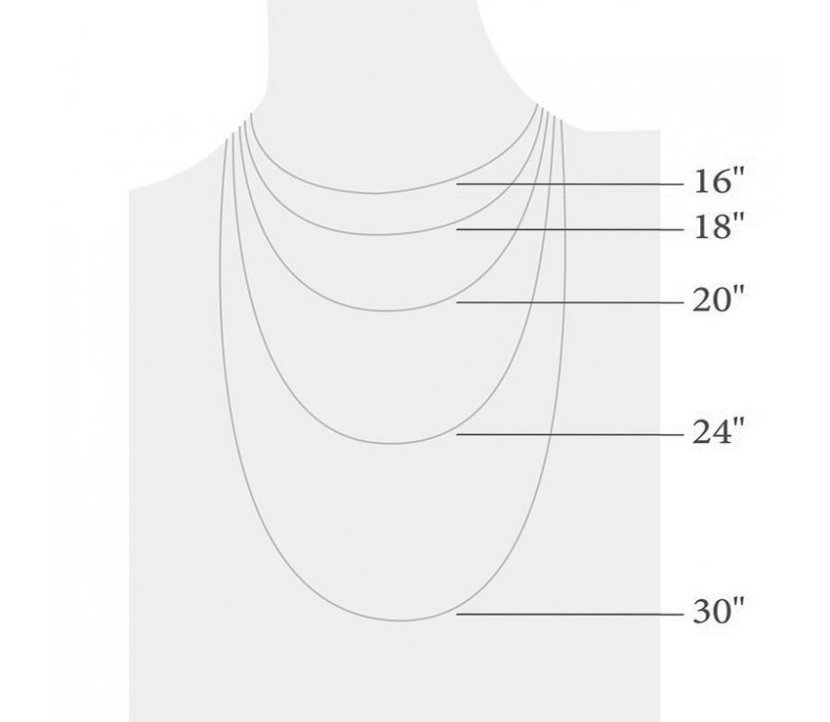 Sterling Silver Necklace with Pendant - Decorative Star of David Encloses a Lion Image