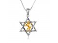 Sterling Silver Necklace with Pendant, Gold Lion Of Judah in the Star of David