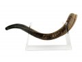 Yemenite Shofar Stand Made of Lucite - for Horns Length 22-40 Inches