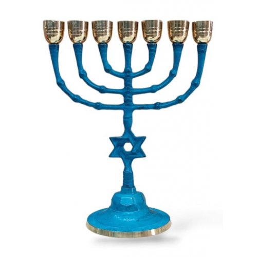 Seven Branch Menorah with Large Cups and Star of David on Stem, Patina - 10 Inches