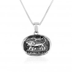 Sterling Silver Necklace and Pendant, Lion Of Judah - Black